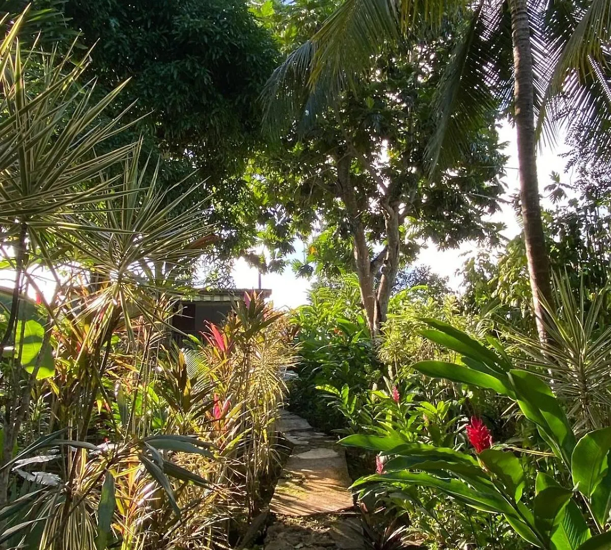Maison Simon Lamentin Jardin Tropical Tatil Evi