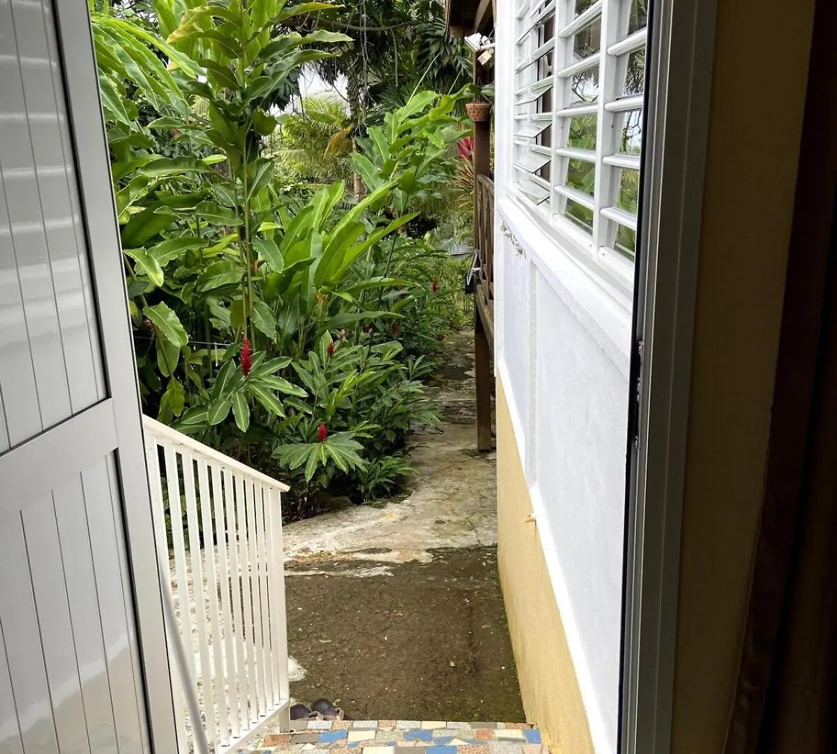 Maison Simon Lamentin Jardin Tropical Guadeloupe