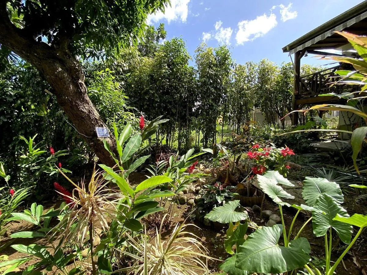 Tatil Evi Maison Simon Lamentin Jardin Tropical
